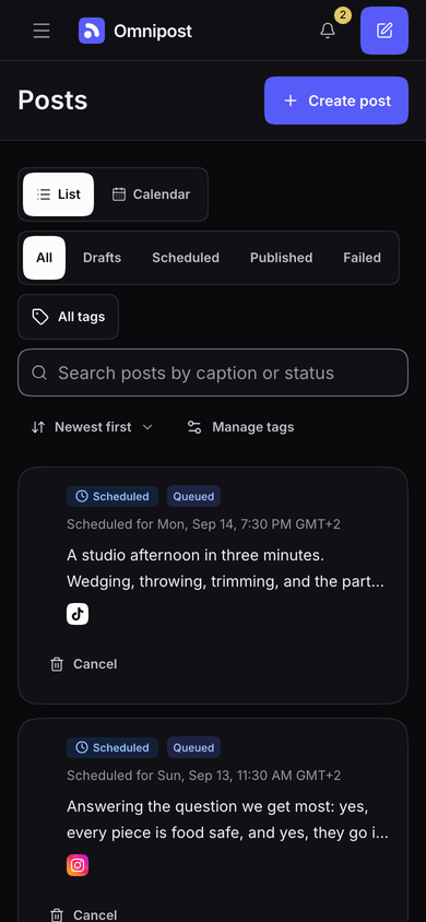 The Publedia posts list on a phone, where each post is a card carrying its status, its scheduled time and the channels it goes to.